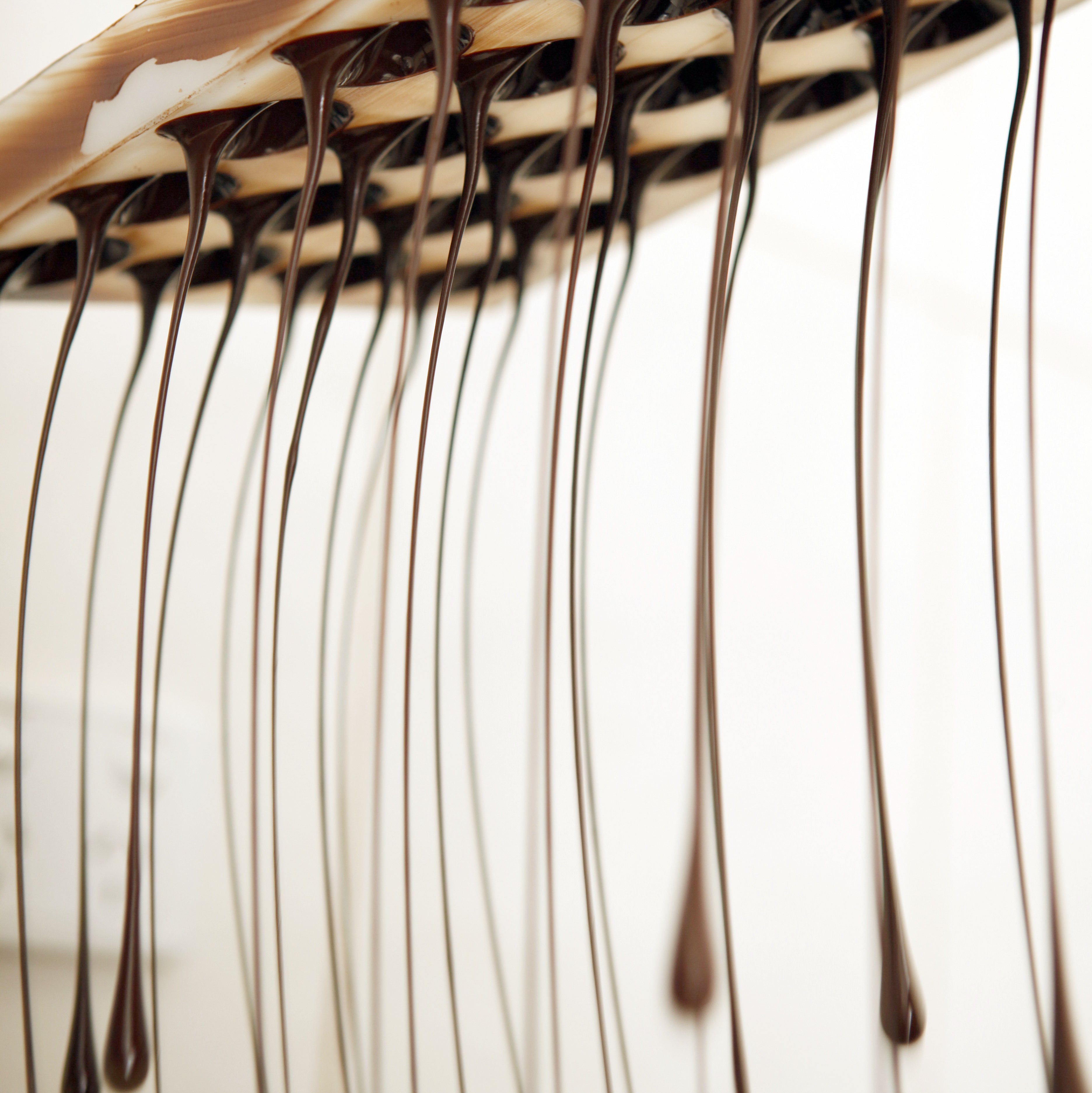 Truffle Making Workshop | Saturday October 25th